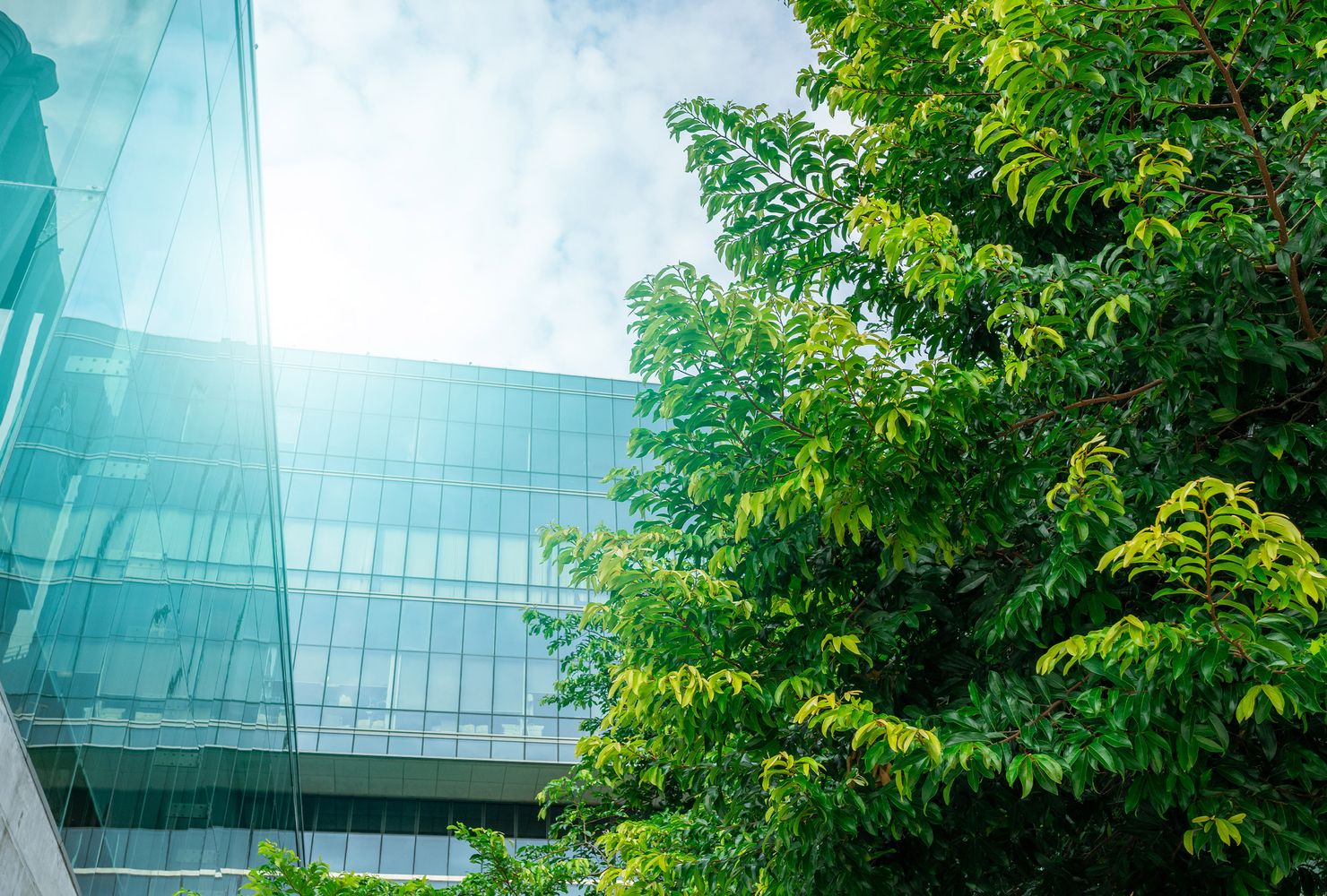 Modern glass architecture in the background, surrounded by lush green foliage under a partly cloudy sky.