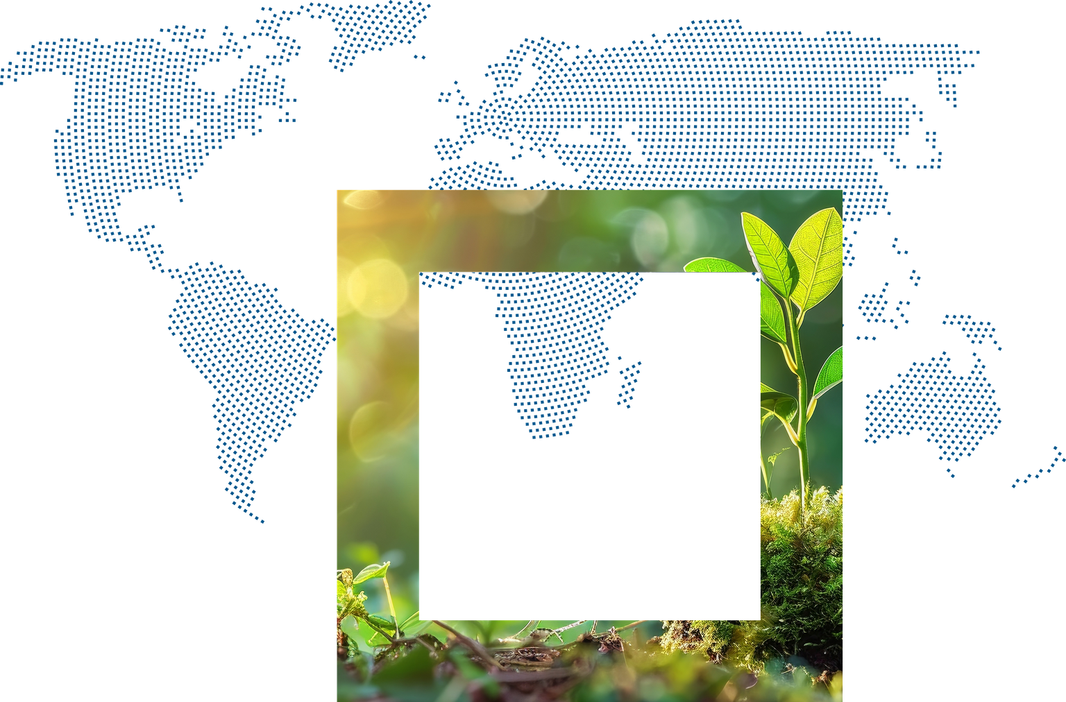 A green plant sprout grows on mossy ground in front of a blurred, sunny background and a world map.