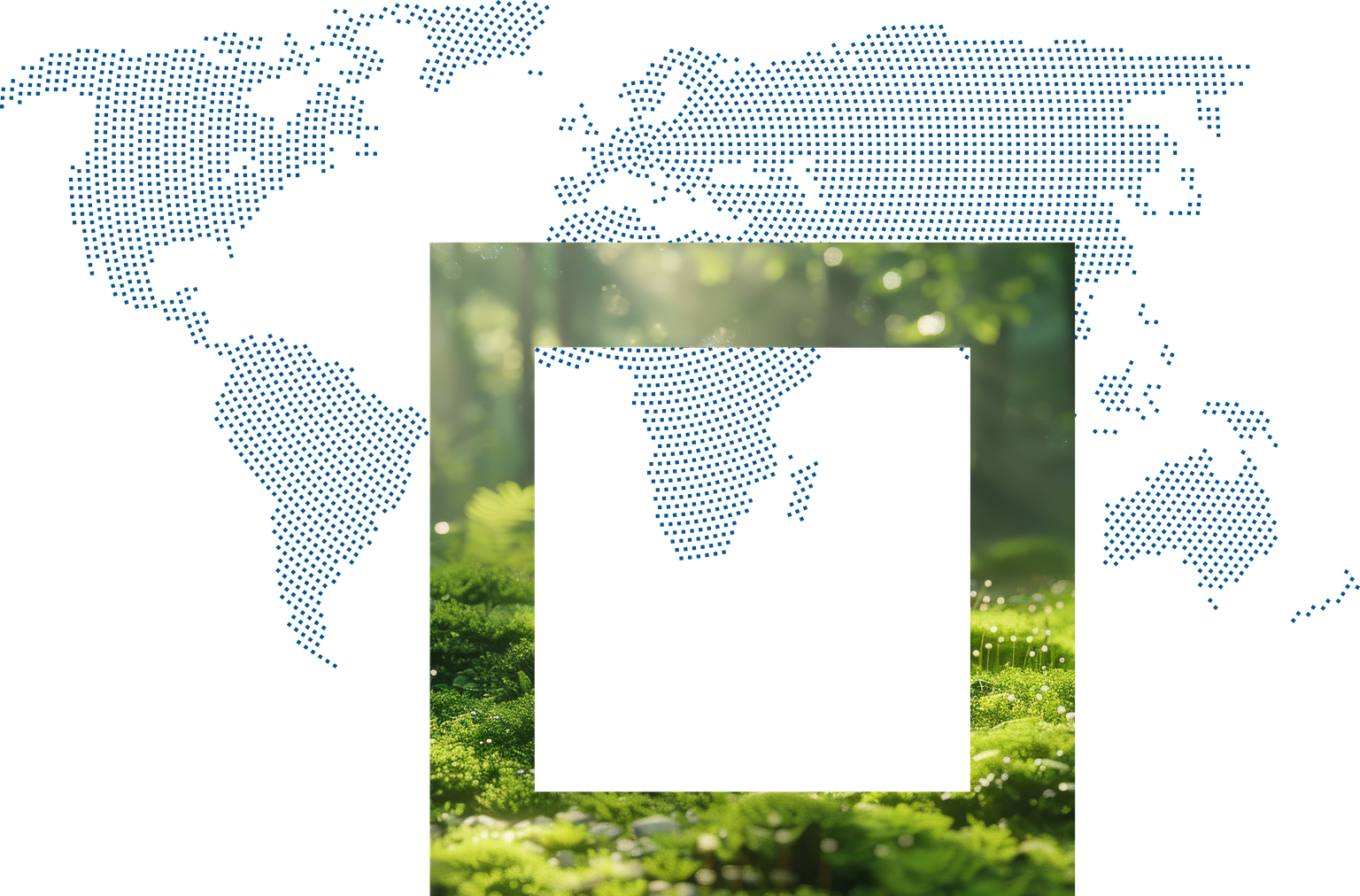 Forest scene with sunlight, a green area in the foreground and a rectangular frame showing parts of a world map.