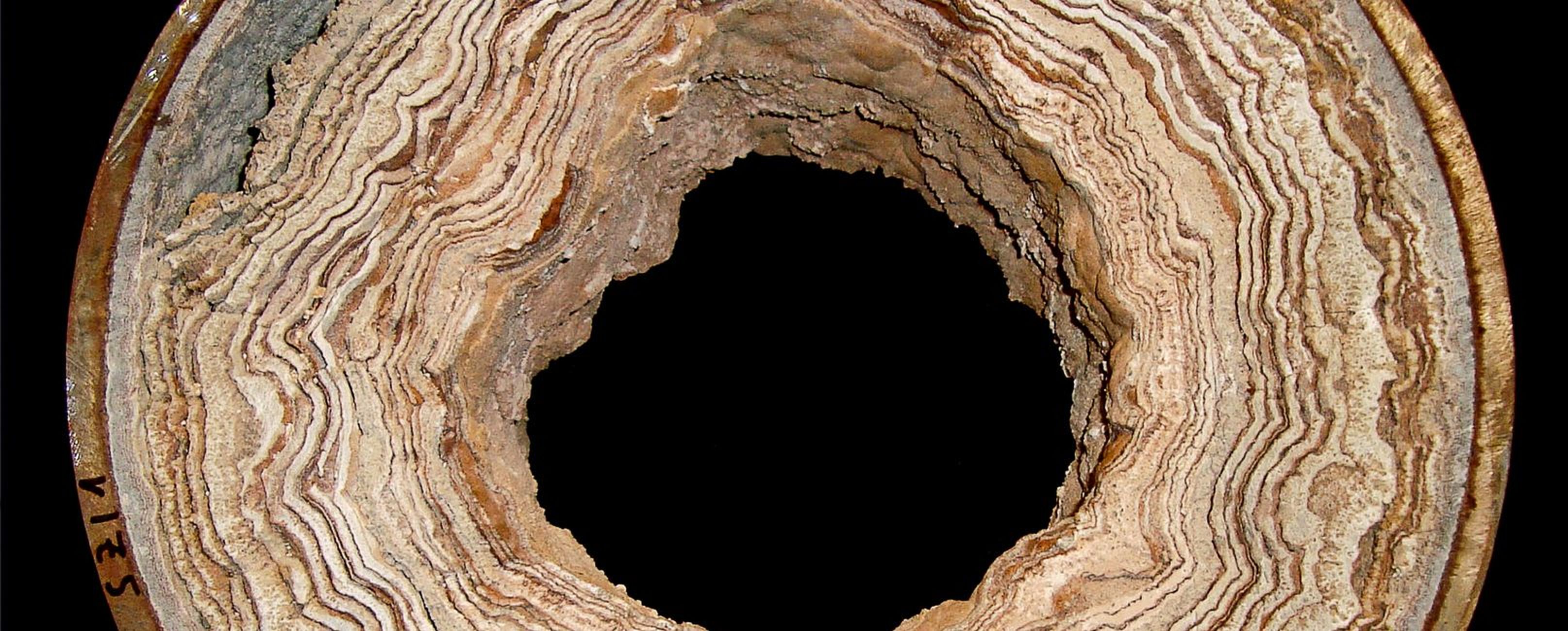 Ein kreisförmiges Stück Holz oder Stein mit schichtenförmiger Struktur und einem zentralen Loch, auf schwarzem Hintergrund.