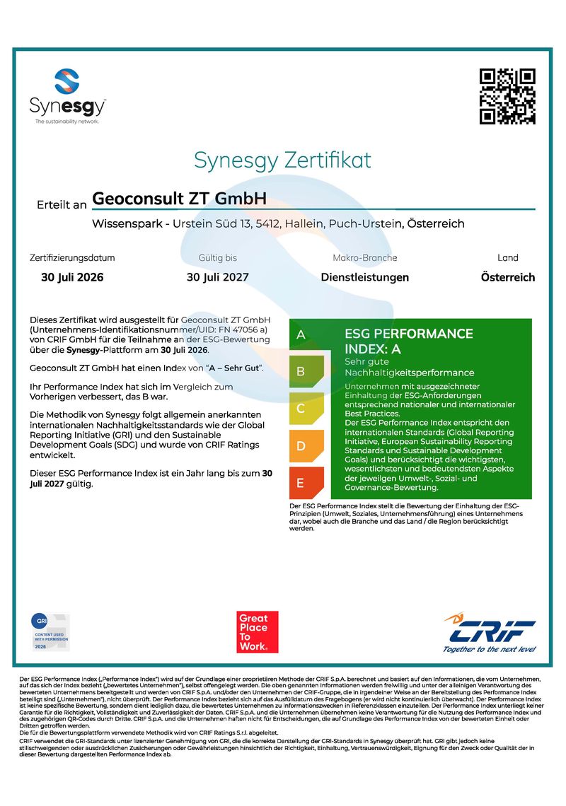 Synesgy Zertifikat